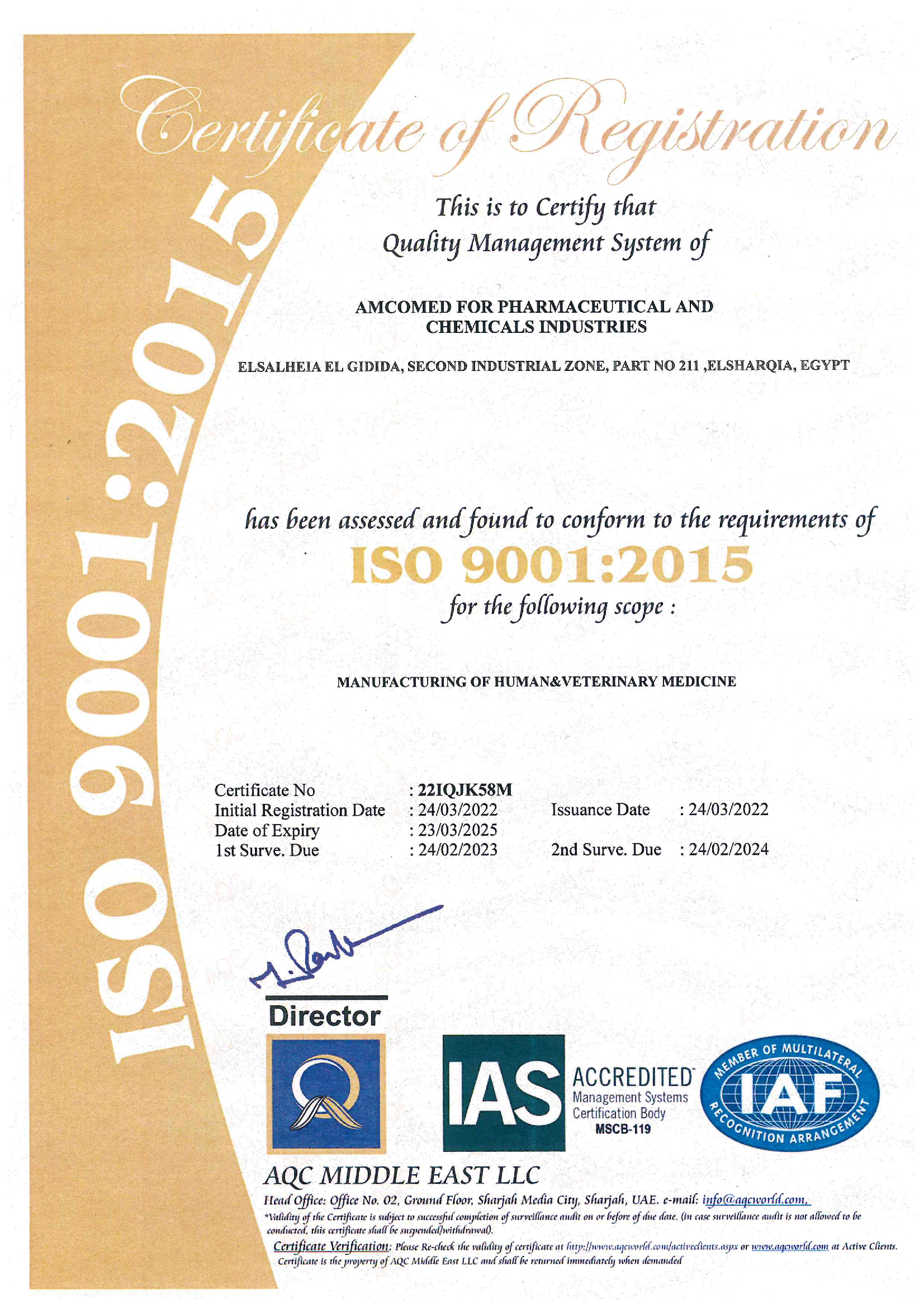 ISO 9001